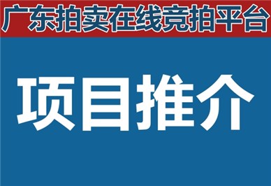 广东佛冈县青松永久陵园有限公司 经营权100%股权转让